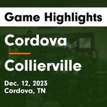 Basketball Game Recap: Collierville Dragons vs. Haywood Tomcats