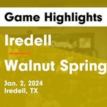 Basketball Game Recap: Walnut Springs Hornets vs. Morgan Eagles
