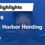 Harding vs. Badger