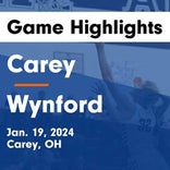 Basketball Game Preview: Carey Blue Devils vs. Calvert Senecas