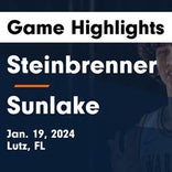 Basketball Game Preview: Steinbrenner Warriors vs. Alonso Ravens