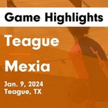 Basketball Game Preview: Teague Lions vs. Fairfield Eagles