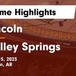 Basketball Game Preview: Lincoln Wolves vs. Valley Springs Tigers