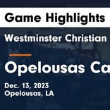 Basketball Game Recap: Opelousas Catholic Vikings vs. Rapides Mustangs