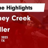 Basketball Game Preview: Caney Creek Panthers vs. New Caney Eagles