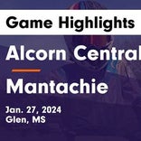 Basketball Game Recap: Alcorn Central Bears vs. Belmont Cardinals