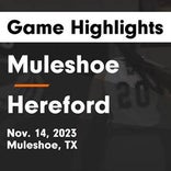 Basketball Game Recap: Muleshoe Mules vs. Childress Bobcats