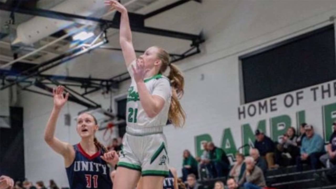 BASKETBALL: D4 WBCA all-state