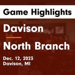 Basketball Game Preview: Davison Cardinals vs. Lapeer Lightning