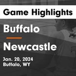 Basketball Game Preview: Buffalo Bison vs. Powell Panthers