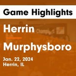 Basketball Game Preview: Herrin Tigers vs. Marion Wildcats