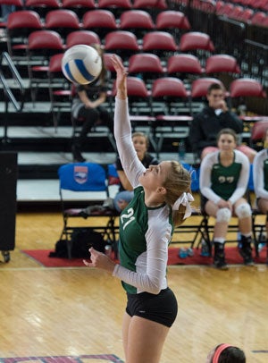 Haleigh Nelson, Cardinal Gibbons