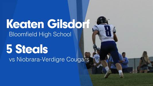 Basketball Game Preview: Bloomfield Bees vs. Wausa Vikings