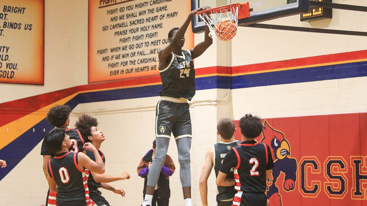 BASKETBALL: St. Francis has 7-footer duo