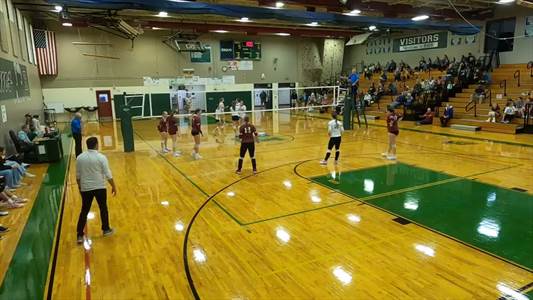 Quinn Arico Game Report: vs Farmington