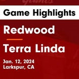 Basketball Game Recap: Terra Linda Trojans vs. Archie Williams Peregrine Falcons