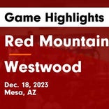 Basketball Game Recap: Red Mountain Mountain Lions vs. Sherwood Bowmen