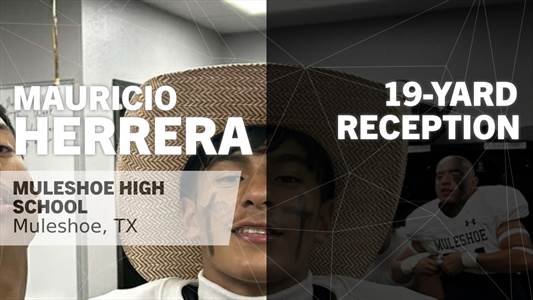 Baseball Game Preview: Muleshoe Mules vs. Friona Chieftans