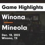 Basketball Game Recap: Winona Wildcats vs. Laneville Yellowjackets