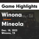 Basketball Game Recap: Winona Wildcats vs. Laneville Yellowjackets