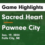 Basketball Game Recap: Sacred Heart Irish vs. Johnson-Brock Eagles