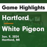 White Pigeon vs. Sturgis