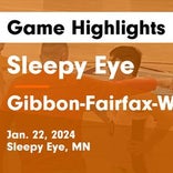 Basketball Game Recap: Gibbon-Fairfax-Winthrop Thunderbirds vs. New Ulm Cathedral Greyhounds