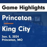 Princeton snaps six-game streak of wins on the road