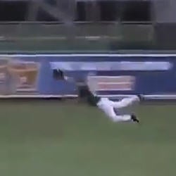 Top 10 videos of the week