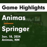 Basketball Game Preview: Animas Panthers vs. Magdalena Steers