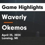 Soccer Game Preview: Waverly Plays at Home