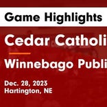 Basketball Game Recap: Winnebago Indians vs. Hartington-Newcastle Wildcats