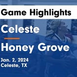 Celeste vs. Honey Grove