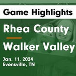 Basketball Game Recap: Rhea County Golden Eagles vs. Cleveland Blue Raiders