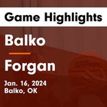 Basketball Game Recap: Forgan Bulldogs vs. Balko Bison