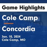 Basketball Game Recap: Concordia Fighting Orioles vs. Wellington-Napoleon Tigers