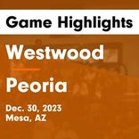 Basketball Game Recap: Westwood Warriors vs. Mountain Ridge Mountain Lions