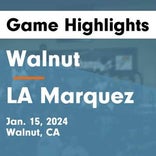 Basketball Game Preview: Walnut Mustangs vs. Diamond Bar Brahmas