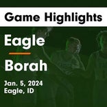 Basketball Game Recap: Borah Lions vs. Eagle Mustangs