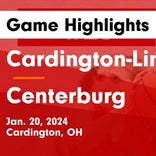 Cardington-Lincoln falls despite big games from  Jill Bertke and  Abigail Hardwick