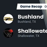Football Game Recap: Shallowater Mustangs vs. Bushland Falcons
