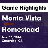 Basketball Game Preview: Monta Vista Matadors vs. Palo Alto Vikings