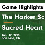 Basketball Game Recap: Sacred Heart Prep Gators vs. Menlo School Knights