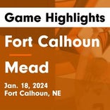Basketball Game Preview: Fort Calhoun Pioneers vs. Arlington Eagles