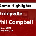 Basketball Game Recap: Haleyville Lions vs. Hamilton Aggies