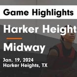 Basketball Game Preview: Harker Heights Knights vs. Midway Panthers