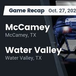 Football Game Recap: McCamey Badgers vs. Water Valley Wildcats