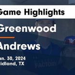 Basketball Game Recap: Andrews Mustangs vs. Greenwood Rangers