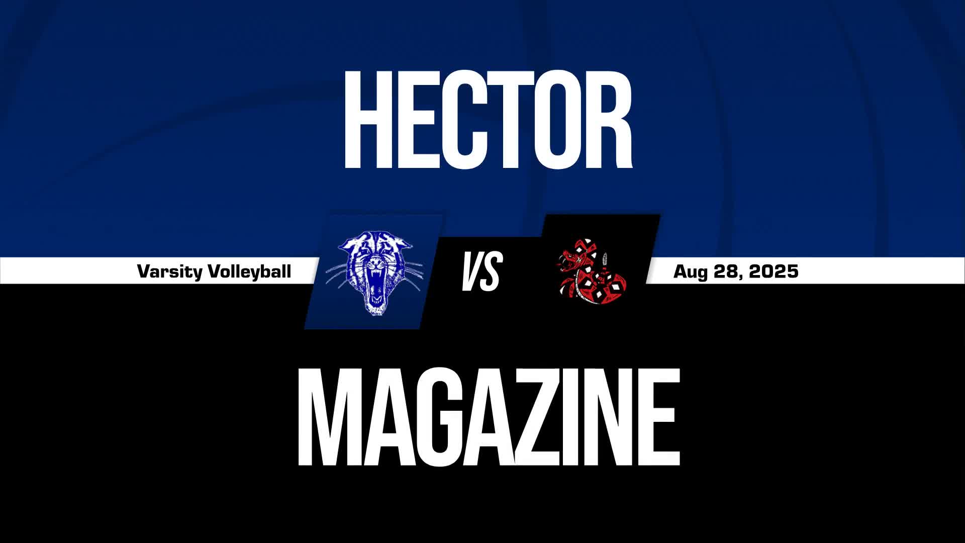 Volleyball Recap: Hector Takes a Loss