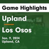 Basketball Game Preview: Los Osos Grizzlies vs. Rancho Cucamonga Cougars